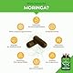 MORINGA Oleifera Kapseln | BIO Zertifiziert OHNE Zusätze | In Deutschland hergestellt | Energy Tabs im 4 Monatsvorrat | SUPERFOOD 100% VEGAN