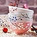 Whitenesser Japanese Rice Bowl Set of 4 Asian Style Hand-painted Floral Plum Ceramic Bowls For Dessert Snack Cereal Soup Sushi Sauce