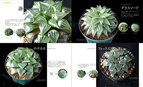 Book 自著 Species Nursery