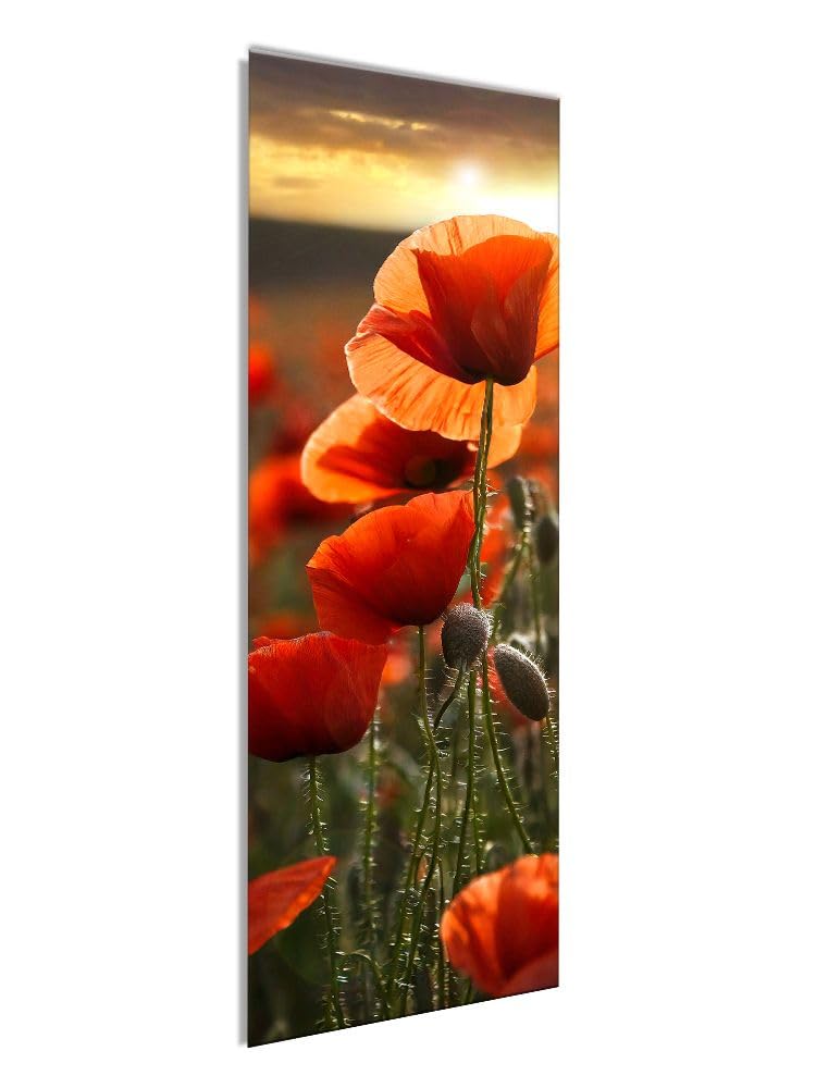 artissimo, Glasbild, 30x80cm, AG5472A, Natur und Blumen: Mohn-Feld II, Bild aus Glas, Wandbild Wonzimmer modern, schmal hoch, Mohnblüten, Mohnblumen, rot