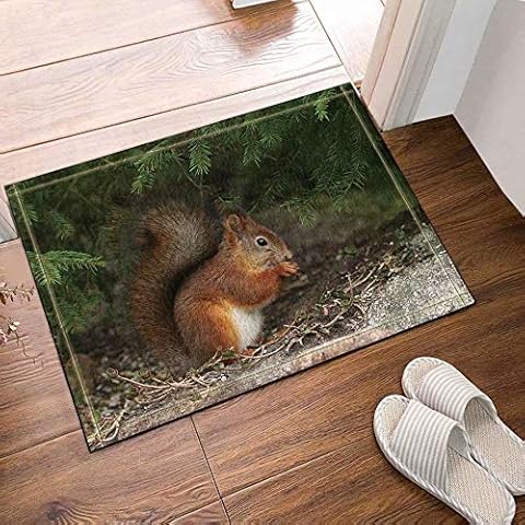 FEIYANG Animal decoration wild animal squirrel foraging Bathroom carpet anti-slip door mat floor entrance outdoor indoor front door mat children bathroom mat 50x80cm bathroom accessories Cover