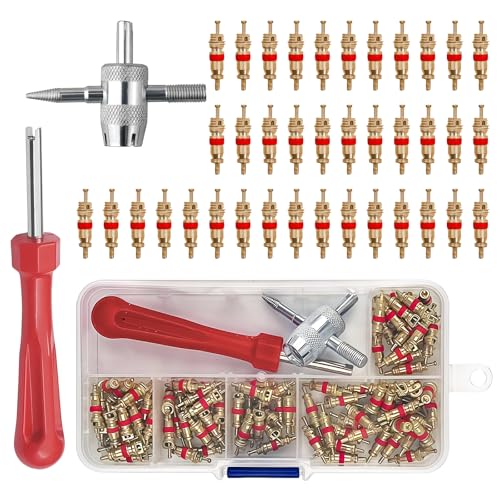 RoyalChic 102 Pièces Demonte Valve Pneu, avec 100 Obus de Valve, 2 Demonte Obus, Outils de Réparation de Valves pour Voiture, Moto, Vélo