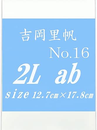 Amazon.co.jp: Riho Yoshioka 2 Sheets of 6.6 gal (2 L) - 16 : Toys & Games