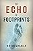 The Echo of Footprints (1)