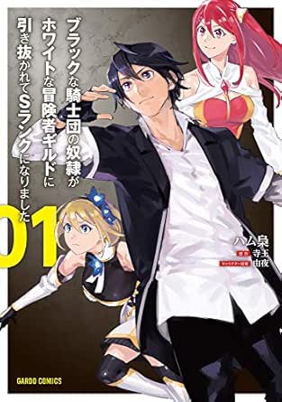 ブラックな騎士団の奴隷がホワイトな冒険者ギルドに引き抜かれてSランクになりました