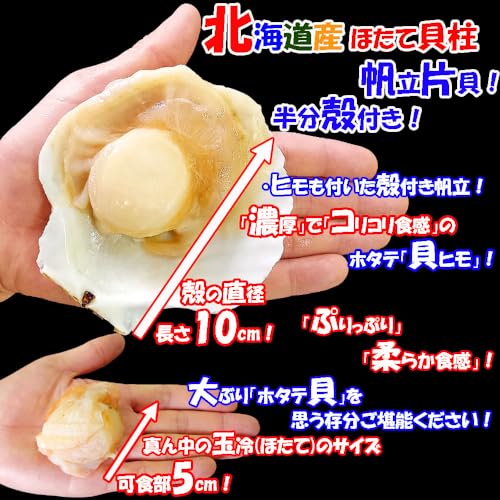 ichigo-ichigo 北海道産 ホタテ貝柱 帆立 片貝 殻付き 1袋 (8枚入) 特大 ほたて 冷凍 バーベキュー bbq ギフト 母の日ギフト 父の日プレゼント の商品画像 3