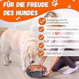 SUNFATT Schnüffelteppich Hund -Hundespielzeug Intelligenz- Robustes und widerstandsfähiges Intelligenzspielzeug für Hunde-größenverstellbar und waschbar,Für alle Hunderassen