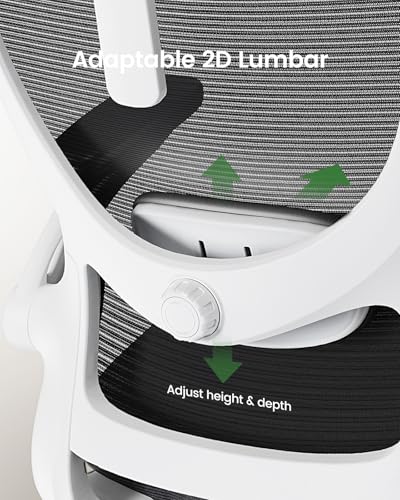 Marsail Ergonomic Office Chair: Office Computer Desk Chair with High Back Mesh and Adjustable Lumbar Support Rolling Work Swivel Task Chairs with Wheel 3D Armrests and Headrest