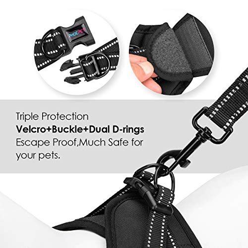 Phoepet Step-In Dog Harness And Leash Set, Reflective Adjustable Dog Vest Harness, Soft Pet Walking Jacket With 2 Metal Leash Hooks For Dog And Cat (Black, L) #TOP3
