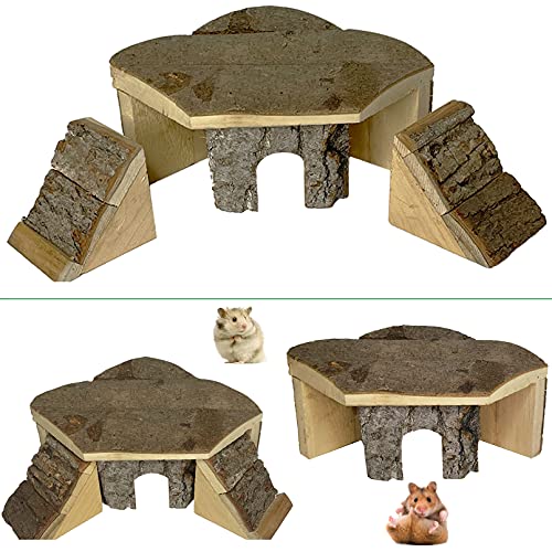 The 29 Best Small Animal Habitat Décor of 2023 [Verified] Cherry Picks