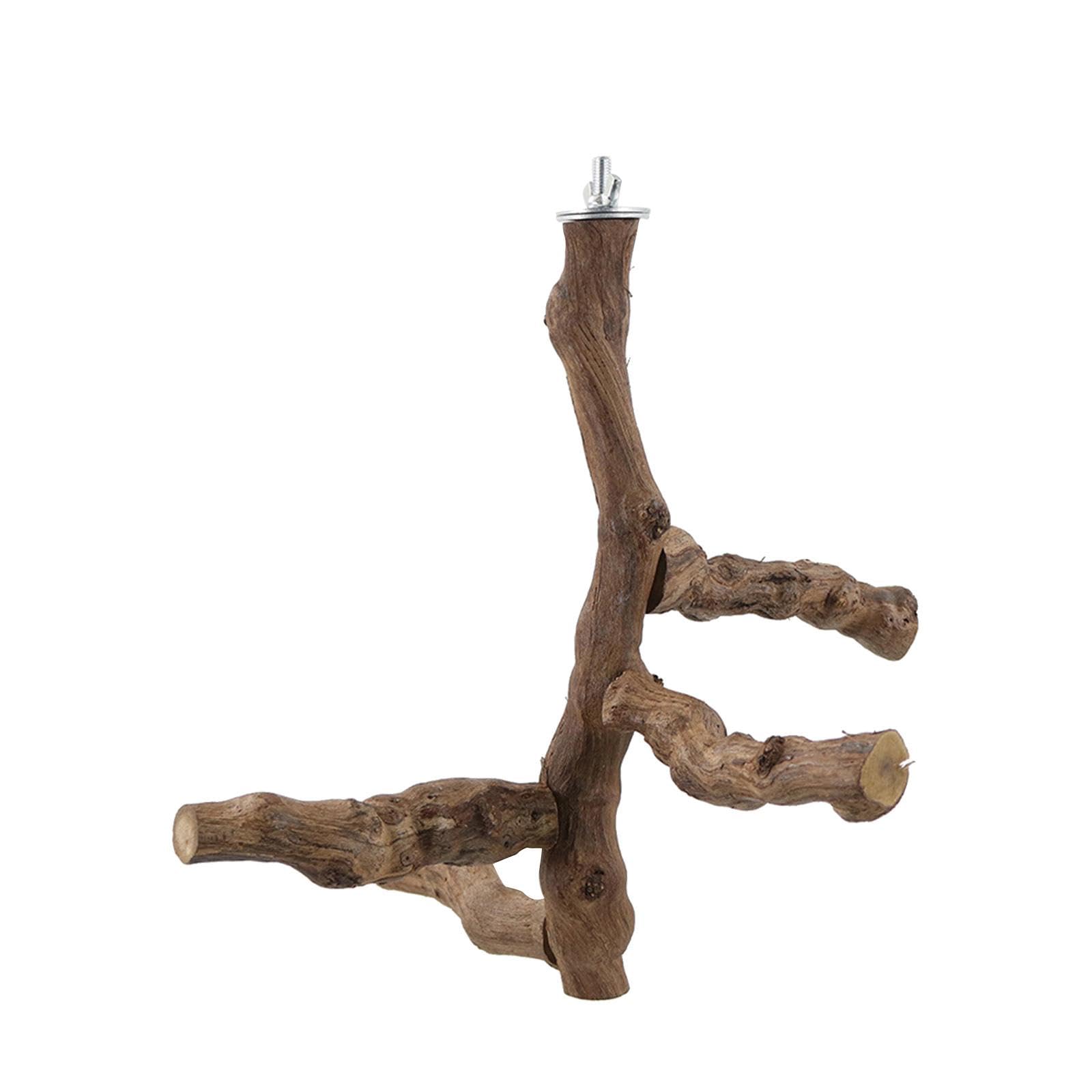Perchoir en bois pour oiseaux et support de jeu pour perroquet en cage