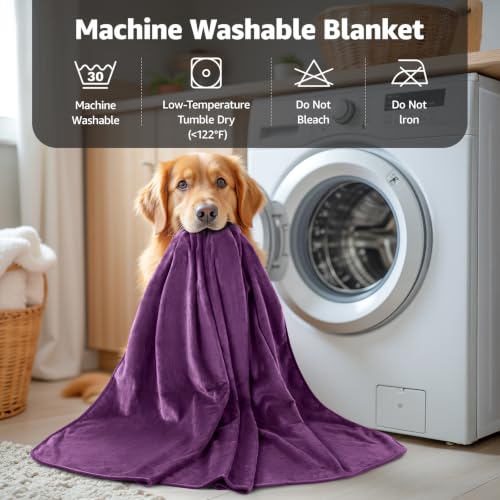 Image of LOOBANI Waterproof Dog Blanket for Bed: Spill-Proof Puppy Blankets for Small Medium Dogs Washable, Reversible Soft Flannel Pet Throw for Couch Sofa Cover, Travel, Camping, 30 inch x 40 inch, Purple