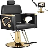Hicomony Salon Chair for Hair Stylist, Barber Chair Hydraulic Heavy Duty Barber Chair 360 Degree Swivel Hair Chair, Beauty Spa Equipment for Barbershop, Home