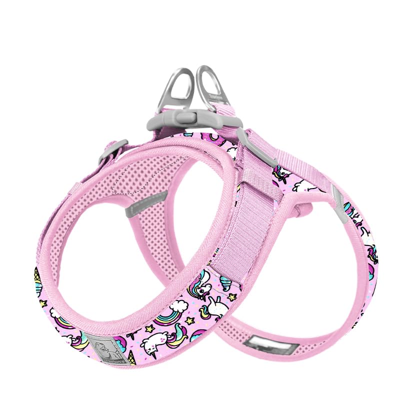 WINHYEPET Truelove Dog Harness Soft Mesh Reflective Breathable Step-In Dog Harness,Easy Adjustment Harness with Safety Buckle for Extra Small and Small Dogs Vest Harness TLH3013