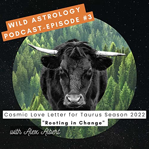 Astrology for Taurus Season 2022: Rooting in Change 🌱 ♉️