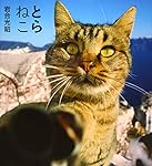 とらねこページ とらねこページ とらねこページ とらのこ | RIKU |本 | 通販 |