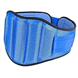 FLYXF Waist Belt Back Abdominal Fitness Belt Premium Adjustable Trimmer Fit Sweat Training Fitness Equipment Blue