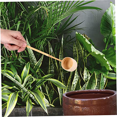 Cuchara de té de madera mango largo para servir café 6