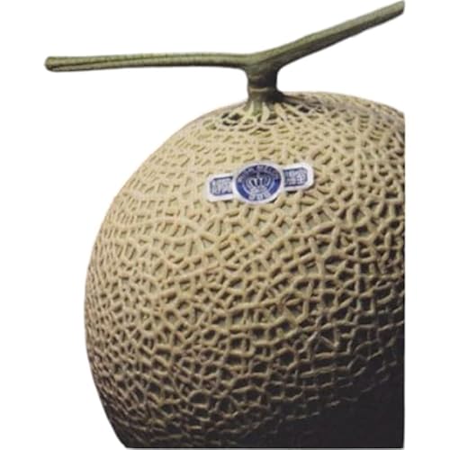 [6ヶ月定期便]クラウンメロン "極メロン" 1玉 ギフト箱入り