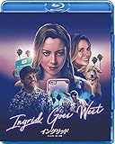 イングリッド -ネットストーカーの女- [Blu-ray]