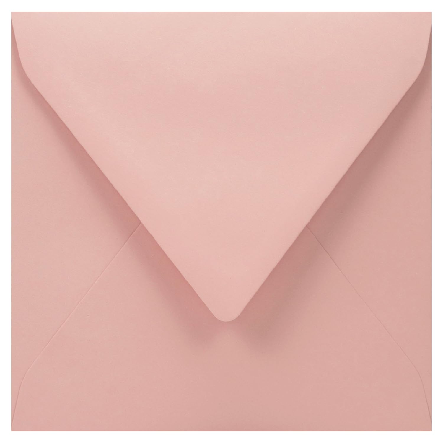 Netuno 100 buste lettere quadrate colorate rosa cipria buste lettera ecologiche eleganti 153x 153 mm 110g Woodstock Cipria buste carta reciclata per inviti partecipazioni compleanno battesimo Pasqua