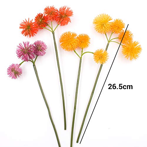 SNAIL GARDEN 63 Teste di Dente di Leone