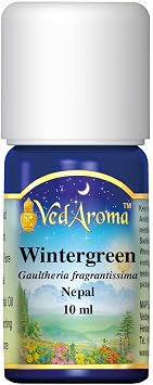 Wintergreen Pure Wild Harvested Essential Oil 10 ml