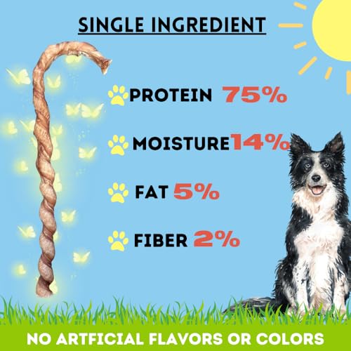 Image of BULLYSTICKS & MORE - 10-12 Inch Bully Stick Candy Cane Twists - 10 Count