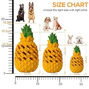 Dog chew toys for aggressive chewer tough dog dental chews toy indestructible dog toys for large dogs chew toys food gradegiant   cucciolini doodles