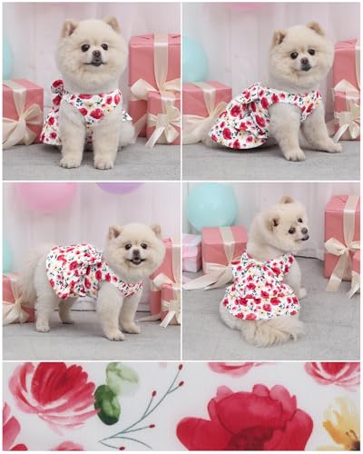 Image of CuteBone UPF50+ Dog Dresses for Small Dogs, Summer Sleeveless Deep V-Back Pet Dress with Big Bow, Breathable Swimwear Fabric, Cooling Stretchy Puppy Clothes for Outdoor Wedding Party Beach DV02M
