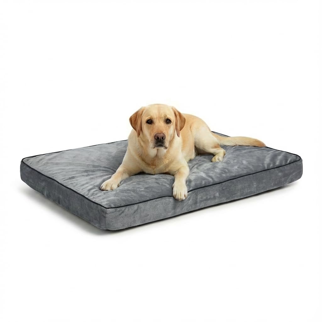 MH Home Dog Bed With Removeable Washable Cover, Pet Cat Beds Cushion Mattress, Soft Warm Dog Mat Pad For Dogs (Large 75 x 100 cm, Oslo)