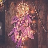 Qukueoy Light Up Dream Catchers for Bedroom Wall Hanging Decorations, LED Dreamcatcher Home Ornaments with 20 LED Lights,Fantasy Gifts for Kids, Caught Your Dream (Purple)