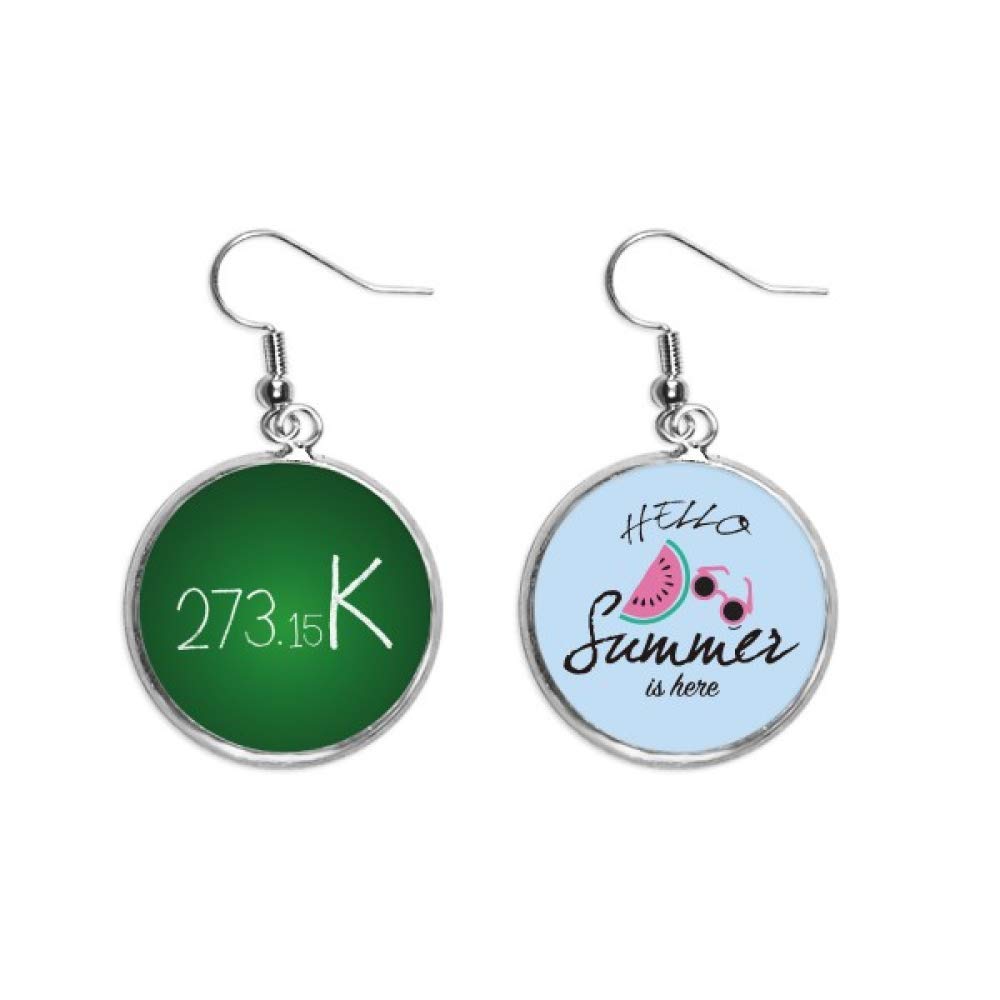Pendientes de sandía con diseño de lóbulo y estética alegre de verano 5