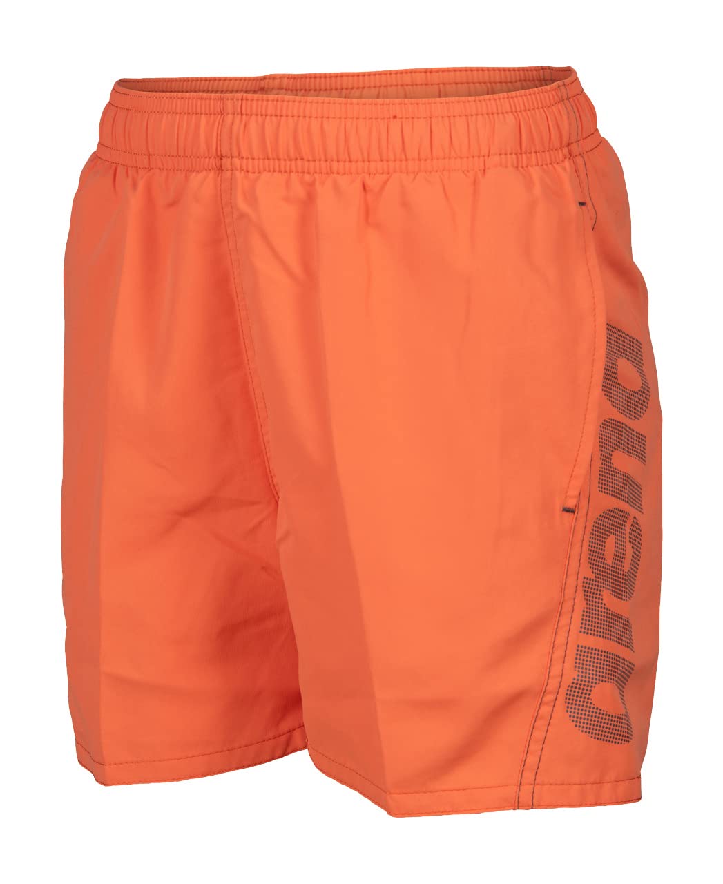 ARENA Fundamentals Logo Jr Boxer R Swim Trunks Niños