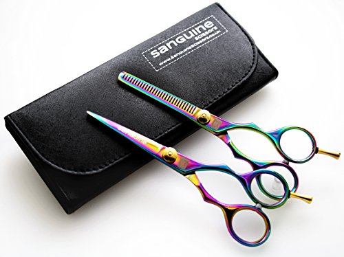 Professional Barber Shears and Hair Thinning Scissors Set, Rainbow, Hairdressing Scissors, 5.5 inch (14cm) + Case