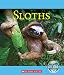 Sloths (Nature's Children)