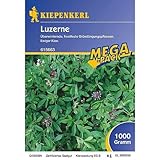  Kiepenkerl Luzerne 1 Kg