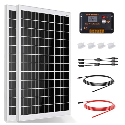 ECO-WORTHY Kit de panneau solaire 240 W 12 V 1 kWh/jour hors réseau pour camping-car, voiture, bateau, abri de camping : 2 panneaux mono 120 W + contrôleur PWM 30 A