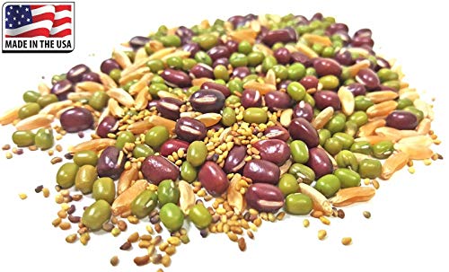 PLAT FIRM Germination Seeds: 2X Micro Green lid + 24G 1000: Alfalfa Red Clover Adzuki Kamut Mung Bean Sprouting Seed USDA