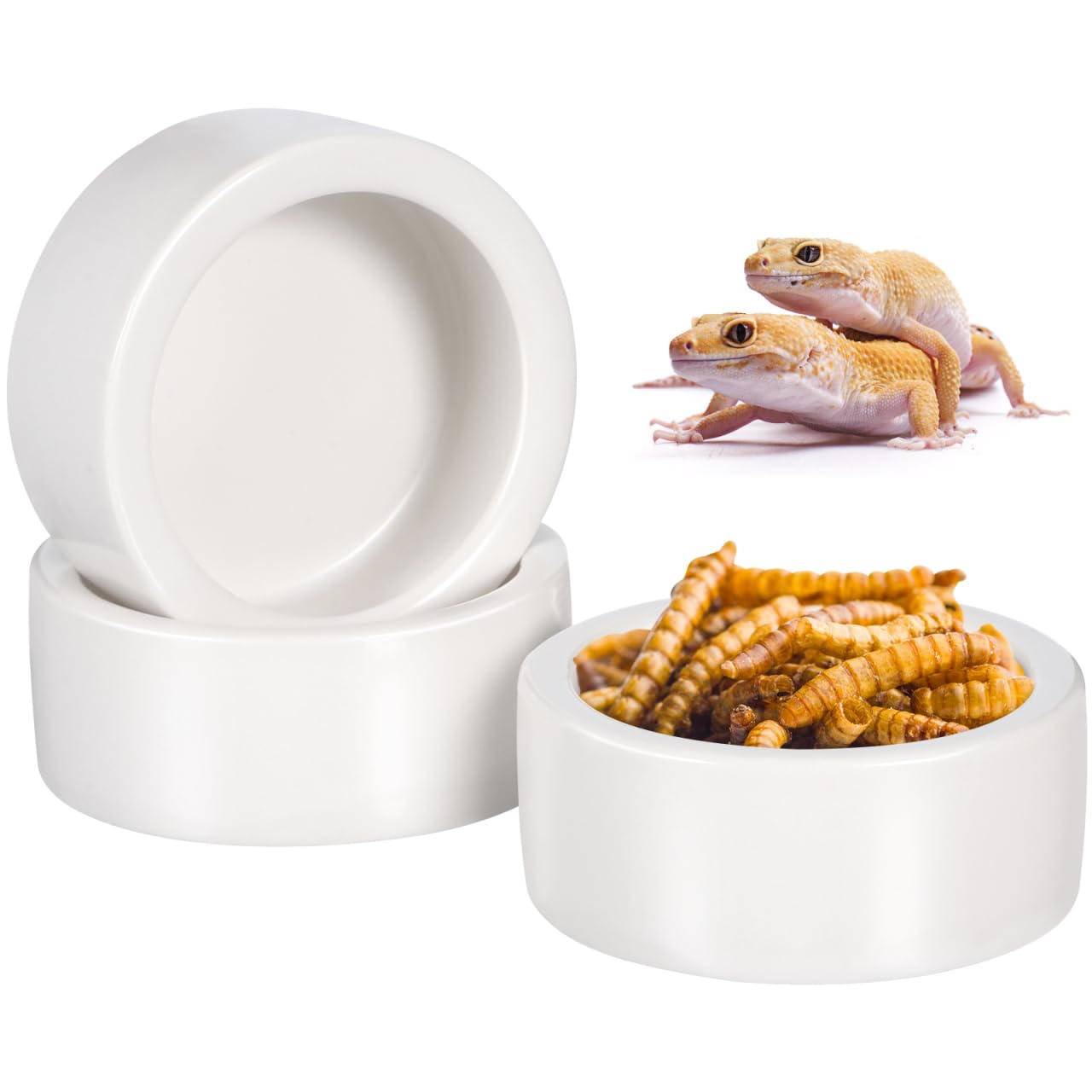 Reptile Food Dish Bowl, 3 Pcs Anti-escape Feeding Bowl Reptile Feeding Basin Stable Desktop Standing Safe Ceramics 1.97x1.97x0.79 Inch for Lizard and Small Pets