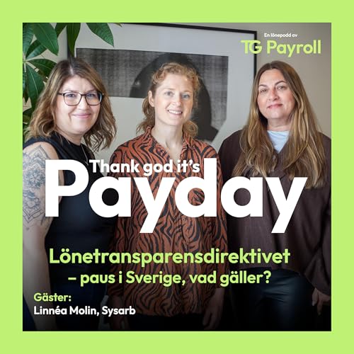 L&ouml;netransparensdirektivet &ndash; paus i Sverige, vad g&auml;ller?