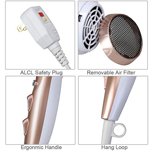 Professional Ionic Salon Hair Dryer, Powerful 1875W Low Noise Fast Drying Blow Dryer, Ceramic Tourmaline Lightweight Hairdryer with Concentrator Nozzle & Cool Button,2 Speed and 3 Heat Setting