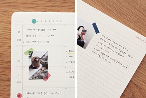 PAPERIAN Brilliant Monthly & Weekly Planner - Wirebound Undated Monthly &Weekly Planner Book Scheduler Diary (Shell Pink)