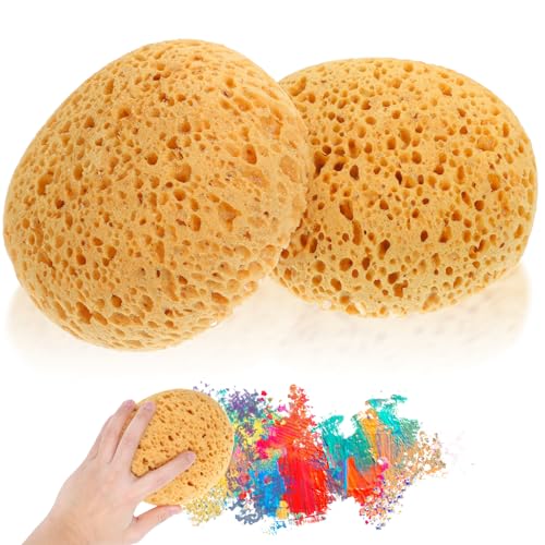 Ptwola Lot de 2 éponges de texture pour la décoration de la maison - Pour bricolage, art, peinture, acrylique, aquarelle, marbre, poterie, céramique,...
