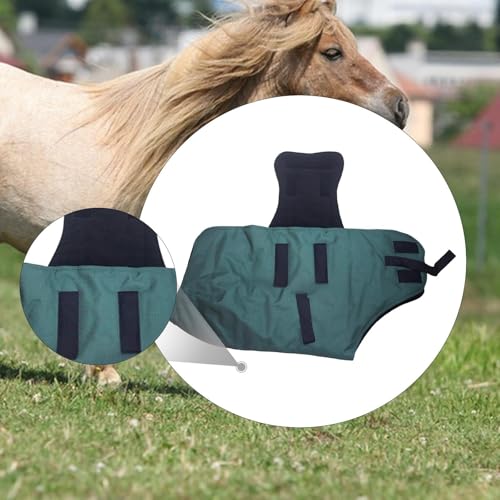 Manta de caballo impermeable y resistente al viento para equitación en invierno 4