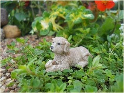 Fairy Garden Puppy Waggs