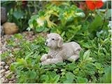 Fairy Garden Puppy Waggs