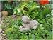 Fairy Garden Puppy Waggs