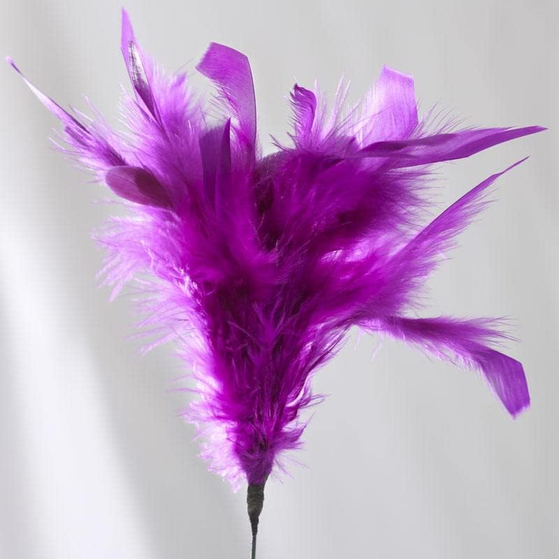 Factory Direct Craft Pack of 18 Mardi Gras Dyed Fluffy Natural Feather Picks for Decorating Mardi Gras Centerpieces, and More (Size: 14" L)