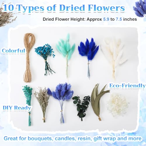 120 Pcs Blue DIY Natural Dried Flower Set miniatura 3